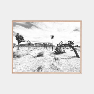 Black and White Desert Poster, Joshua Tree Print, Wild West Print, National Park, Joshua Tree Art, Desert Photography