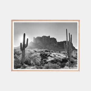 May include: Black and white photograph of a desert landscape with two tall cacti in the foreground and a mountain range in the background.