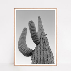 Saguaro Print, Black and White Cactus Wall Decor, Desert Wall Art, Southwest Decor, Cactus Photography