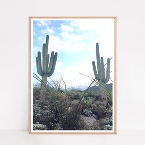Saguaro Druck, Wüste Fotografie, Southwest Decor, Kaktus Druck, Arizona Wandkunst