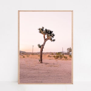 Mojave Desert, Joshua Tree Print, Desert Wall Art, Boho Wall Art, Travel Poster
