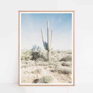 Cactus Print, Southwestern Art, Desert Photography, Arizona Gifts, Tucson Arizona