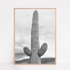 Kaktus Fotografie, Southwestern Decor, Kaktus Poster, Arizona Geschenke, Wüstenwandkunst