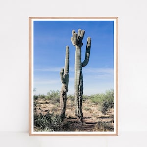 Cactus Print, Desert Photography, Arizona Wall Art, Southwest Decor, Cactus Wall Art