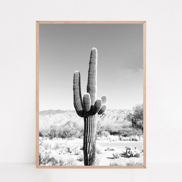 Black and White Arizona Wall Art, Cactus Print, Tucson Arizona, Desert Photography, Cactus Wall Decor