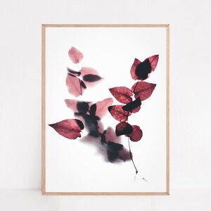 Botanical Print, Farmhouse Pictures, Wildflower Prints, Art Poster, Botanical Poster