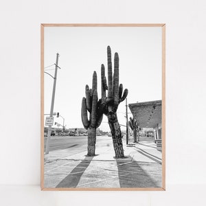Kaktus Poster, Southwestern Decor, Wüste Fotografie, Straßenfotografie, Botanische Wandkunst