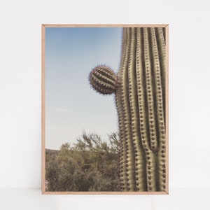 Cactus Print, Saguaro Prints, Southwest Decor, Arizona Gifts, Cactus Photography