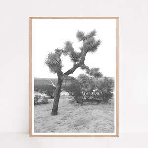 Joshua Tree Poster, Black and White, Desert Photography, Mojave Desert, Joshua Tree Print