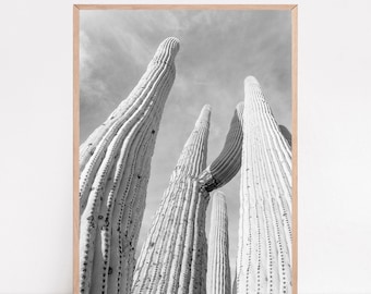 Desert Photography, Saguaro Cactus, Print Black White Wall Decor, Tucson Minimal Art