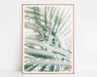 Botanical Print, Tropical Leaf Print, Minimalist Wall Art, Palm Tree Poster