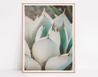 Succulent Poster, Aloe Vera Print, Tropical Leaf Print, Rare Succulents, Minimalist Poster