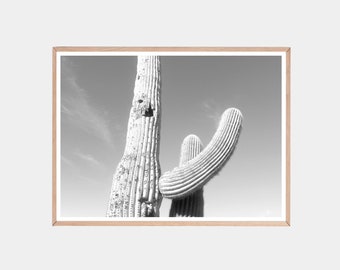 Black and White Cactus Print: Arizona Desert Landscape (Digital Download)