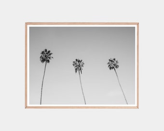 Black and White Palm Tree Print: Tropical Wall Art (Digital Download)
