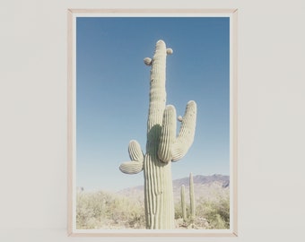 Desert Photography, Saguaro Print, Cactus Prints, Tucson Wall Art, Desert Art