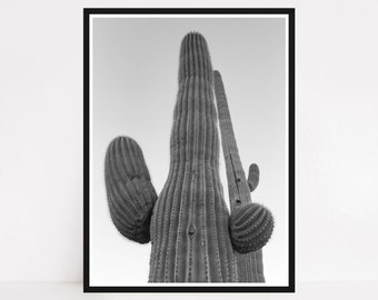 Minimalistischer Saguaro Kaktus Wand Kunst Druck: Südwestliche Wüste Fotografie für modernes Home Dekor