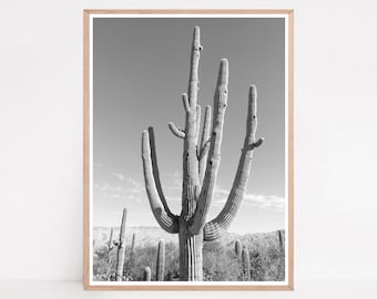 Black and White Cactus Poster, Cactus Art Print, Southwestern Decor, Tucson Arizona
