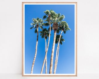 Tropical Palm Tree Print: California Wall Art (Digital Download)