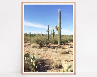 Cactus Prints, Desert Photography, Cactus Wall Art, Desert Wall Art, Tucson Arizona, Southwest Decor