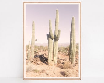 Cactus Print, Southwestern Art, Desert Photography, Wall Art, Boho Wall Art