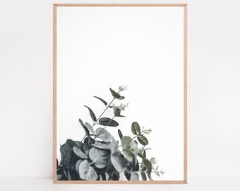 Eucalyptus Plant Print: Botanical Wall Art (Digital Download)