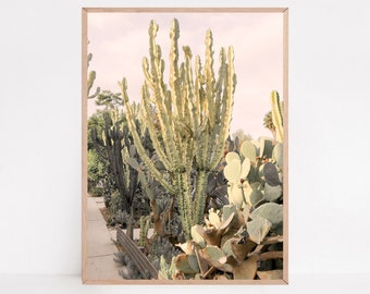 Cactus Photography, Bedroom Wall Decor, Cactus Picture, Botanical Poster, Bohemian Decor, Designer Wall Art