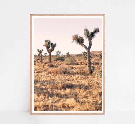 Mojave Desert Joshua Tree Print Pastel Joshua Tree Desert
