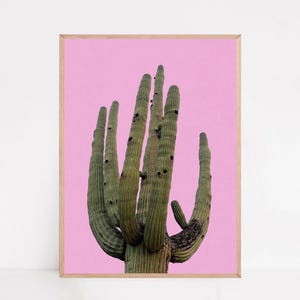 Pink Cactus Wall Art, Desert Photography, Southwestern Art, Minimal Artwork, Cactus Print