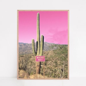 Rosa Kaktus-Wand-Dekor, Kaktus Fotografie, Arizona Wandkunst, Arizona Druck