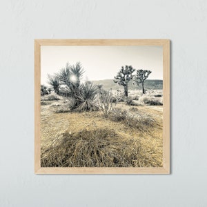Joshua Tree Black White Wall Art, Mojave Desert Photography, National Park Print, Western Wall Art