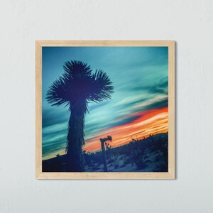 Joshua Tree Print, Square Posters, Southwestern Art, Desert Art, Indie Room Decor