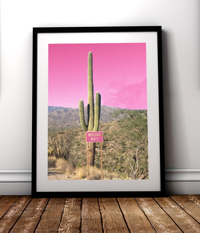 Pink Cactus Wall Art Desert Photography Cactus Prints Etsy