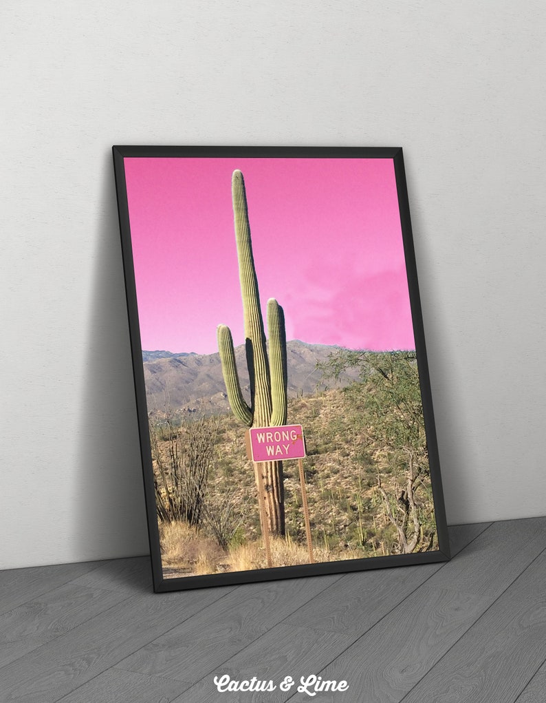 Pink Cactus Wall Art Desert Photography Cactus Prints Etsy