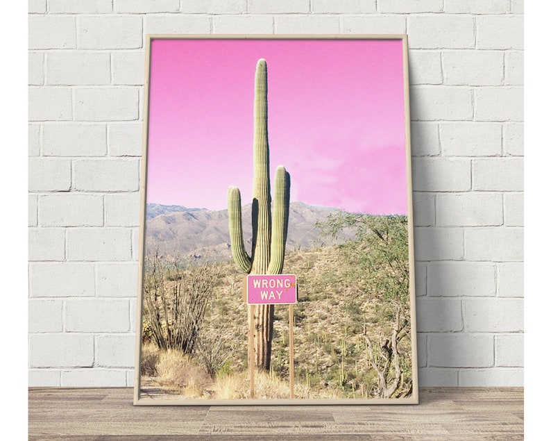 Pink Cactus Wall Art Desert Photography Cactus Prints Etsy
