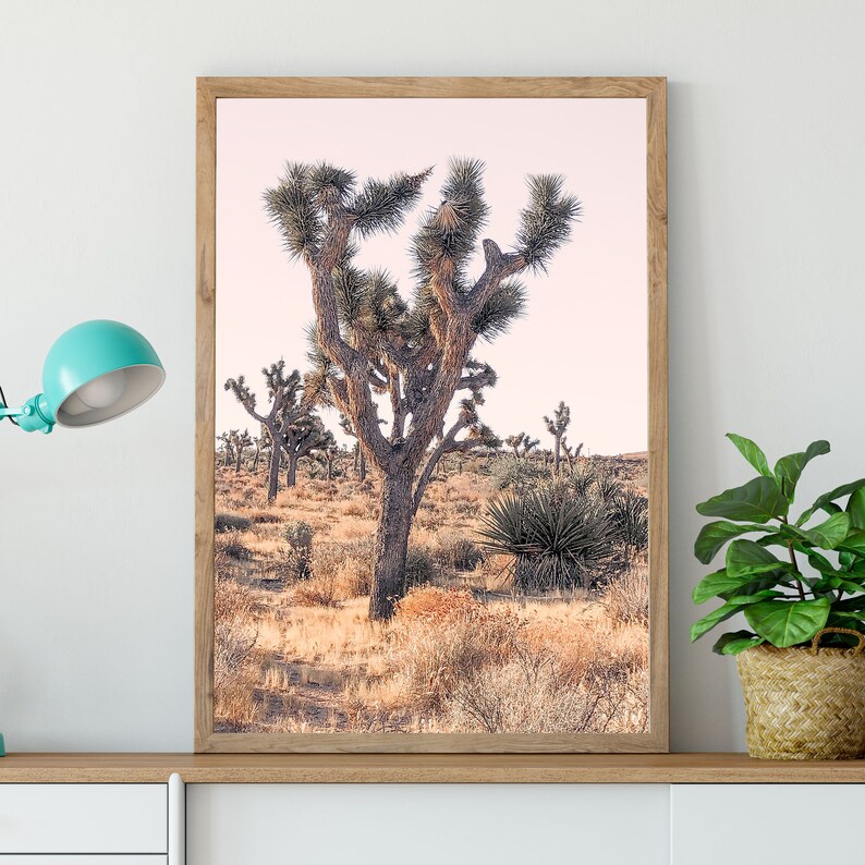 Mojave Desert Joshua Tree Print Pastel Joshua Tree Desert