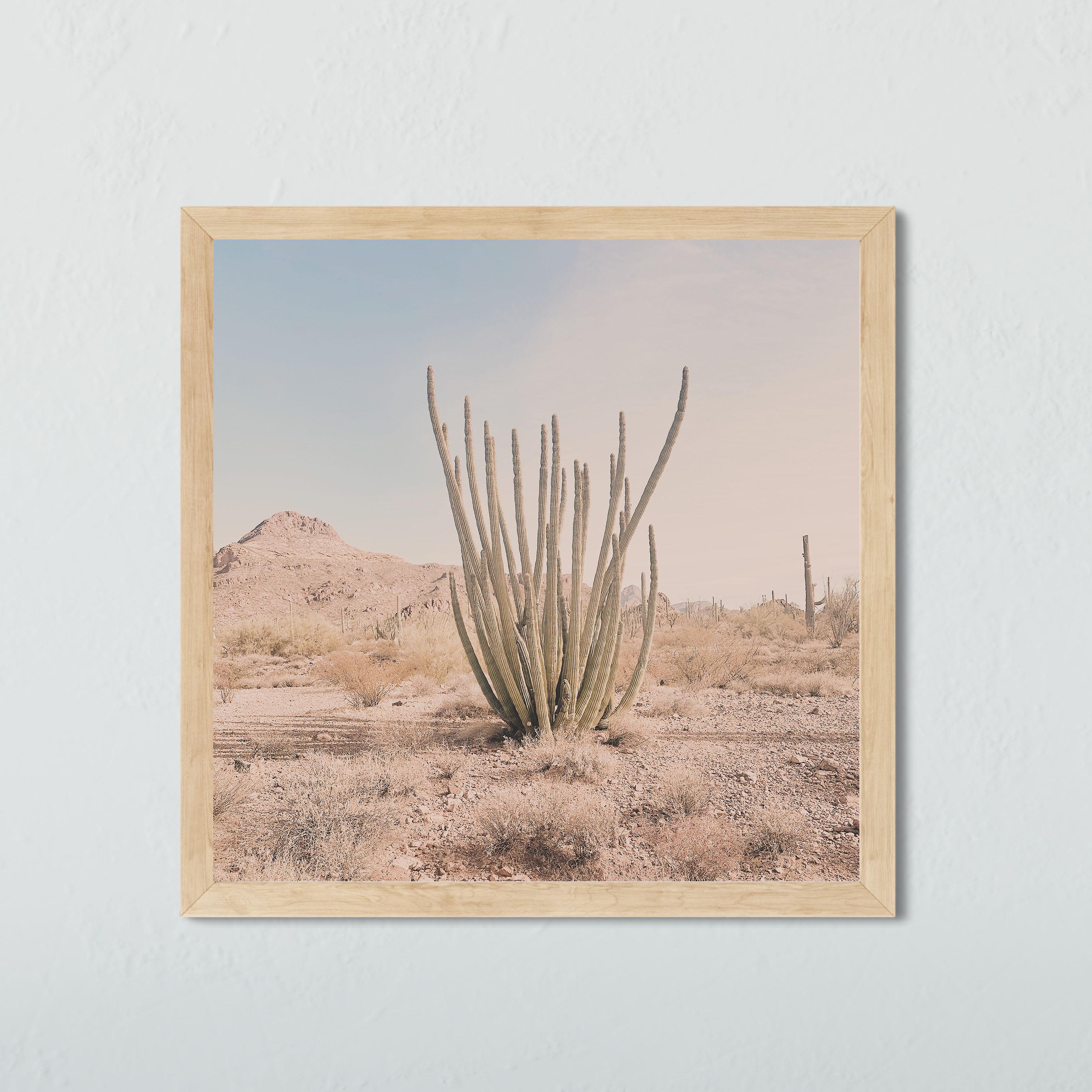 Organ Pipe Cactus Print – Sonoran Desert Wall Art, Ajo Arizona Landscape Poster, Boho Desert Decor, Cactus Artwork for Home or Office