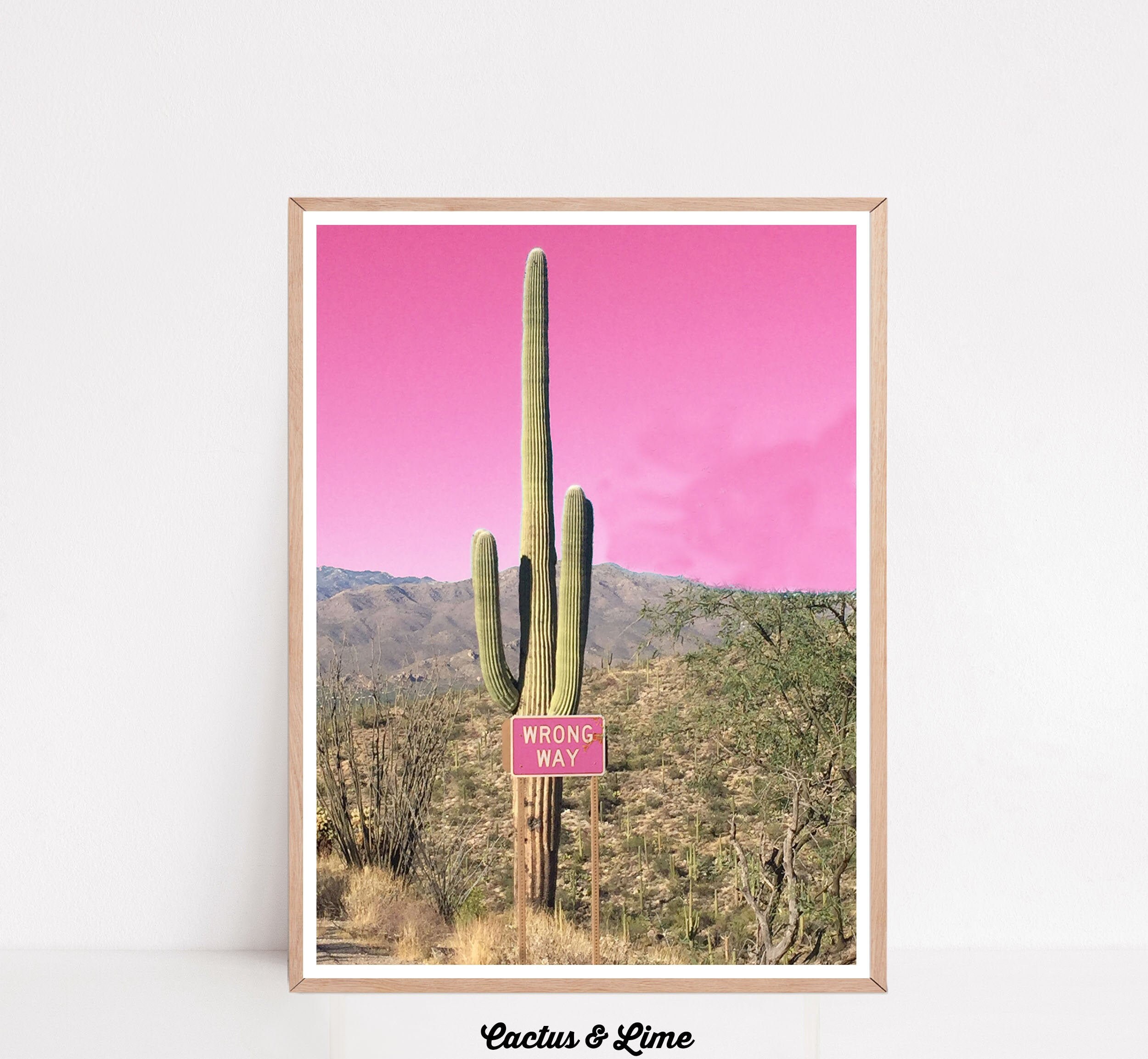 Pink Cactus Wall Decor Tucson Arizona Cactus Photography Etsy