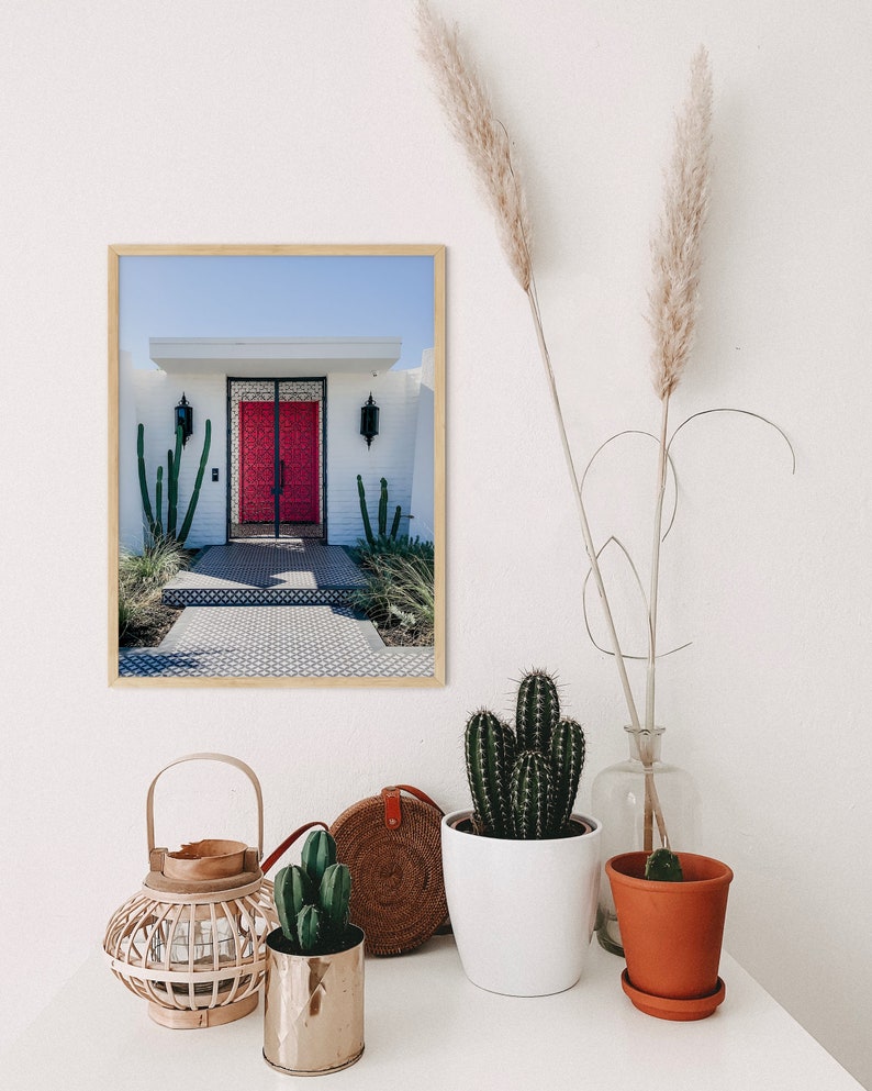 Pink door architectural print.