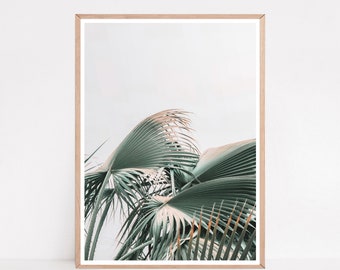 Palm Tree Poster, Tropical Leaf Print, Affiche Palmier, Botanical Print, Tropical Decor