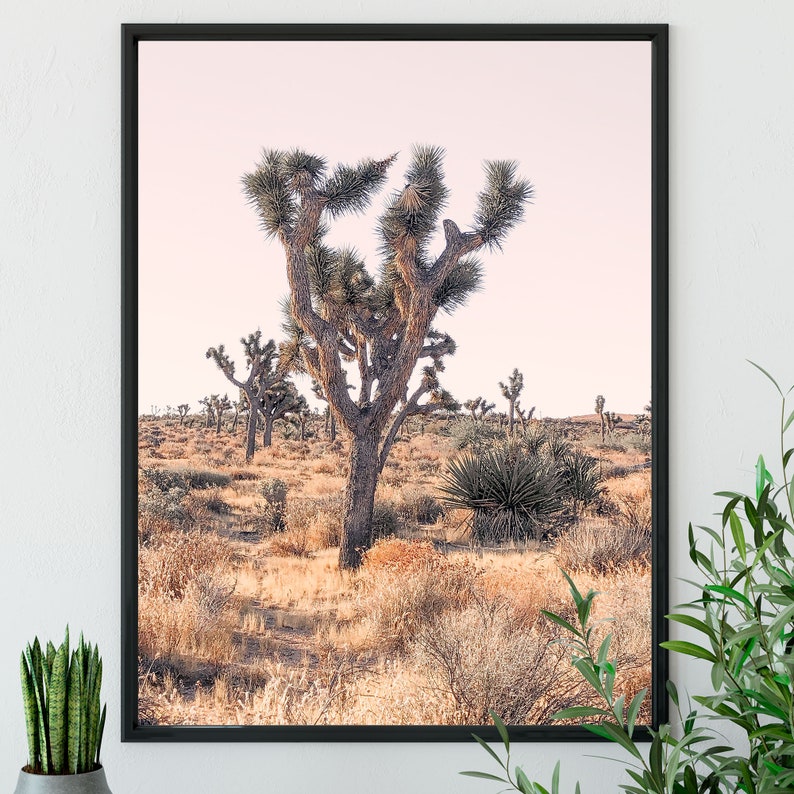 Mojave Desert Joshua Tree Print Pastel Joshua Tree Desert