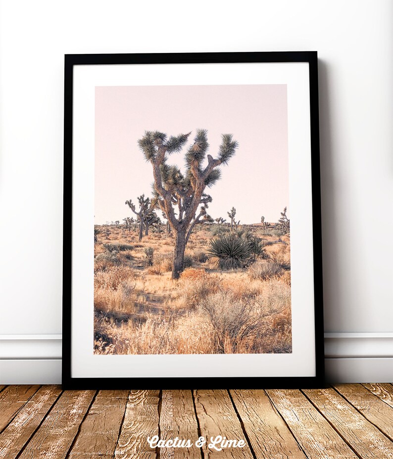 Mojave Desert Joshua Tree Print Pastel Joshua Tree Desert