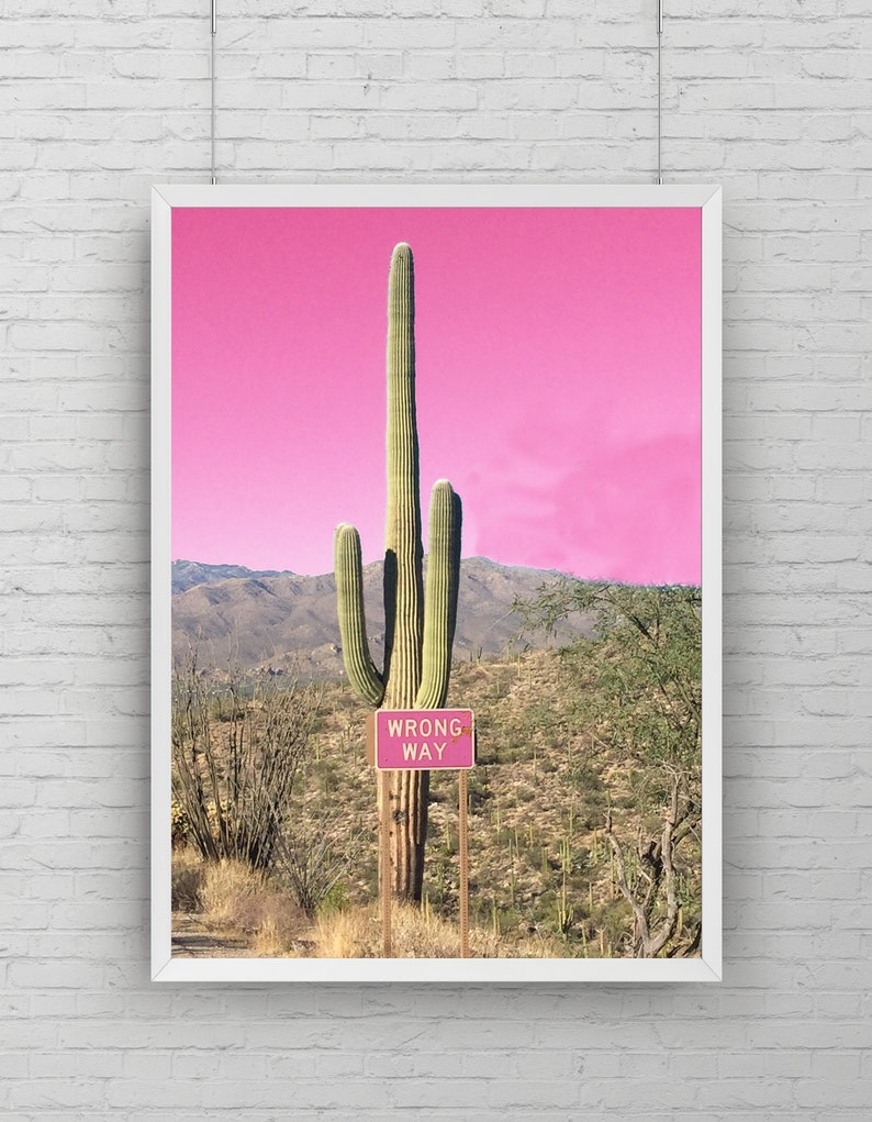 Pink Cactus Wall Art Desert Photography Cactus Prints Etsy