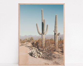 Saguaro National Park Print: Arizona Desert Cactus Photo (Digital Download)