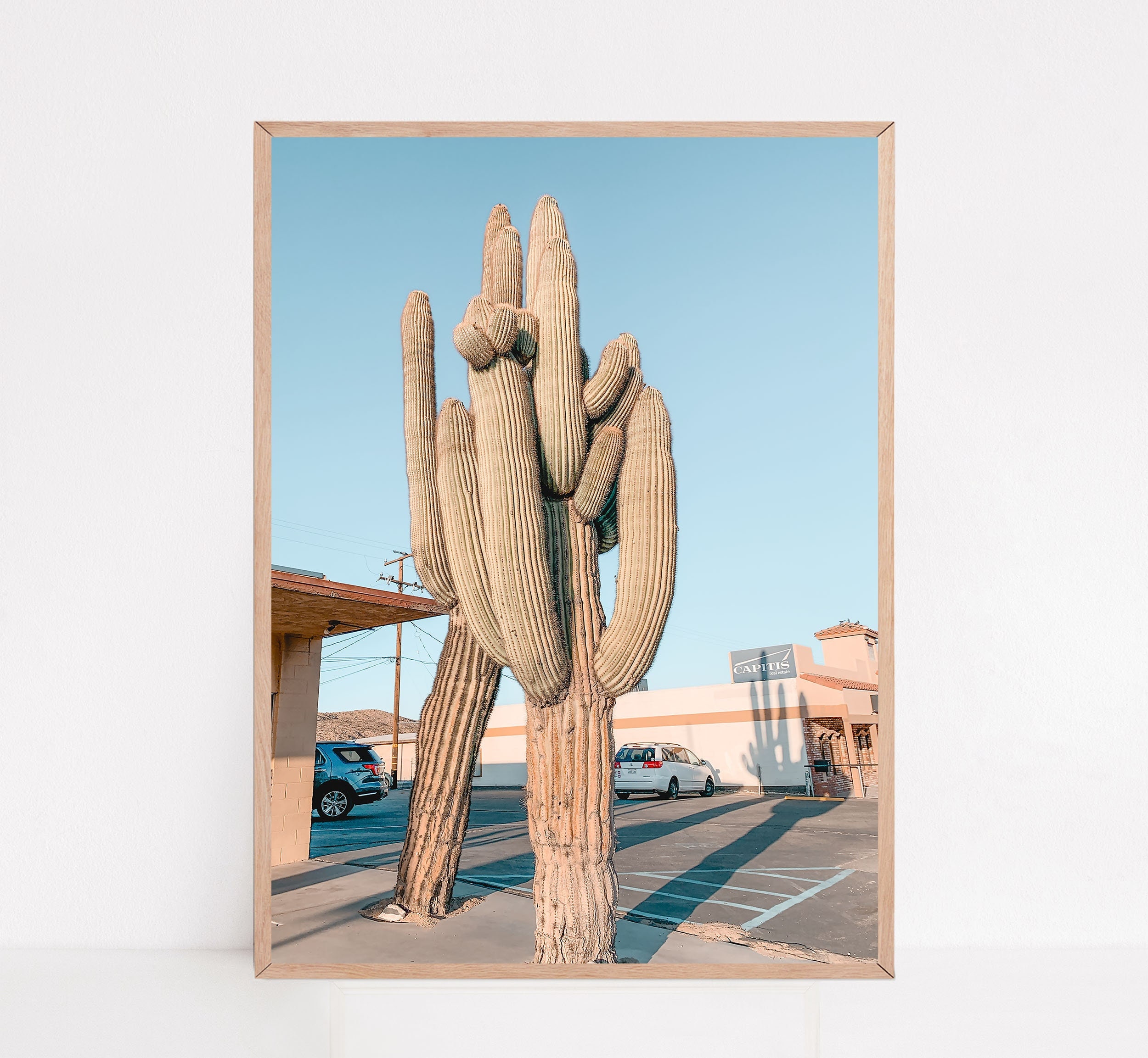 Variegated Cactus Print, Digital Products, Modern Cactus Print, Saguaro Art, Yucca Valley