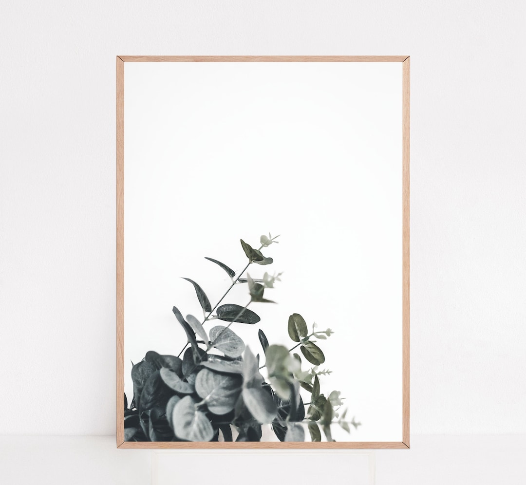 Botanische Wandkunst-Set – 3 Leinwand-Bilder, Je 30x40 Cm, Salbeigrünes Aquarell-Design, Fertig Zum Aufhängen