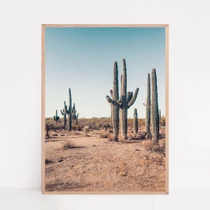 Cactus Print, Desert Wall Art, Boho Wall Decal, Tucson Arizona, Desert Photography, Arizona Gifts