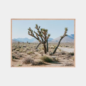 Joshua Tree Print, Southwestern Decor, Joshua Tree Poster, Desert Photography, California Wall Art