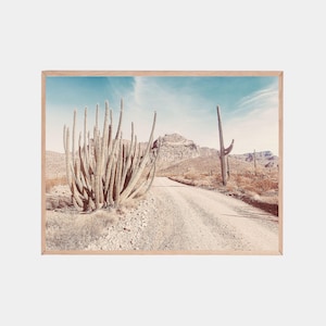 Orgelpfeife Kaktus, Ajo Arizona, Kaktus Druck, Wüste Fotografie, Saguaro Art, Sonoran Vibes Art, Vintage Kaktus Poster
