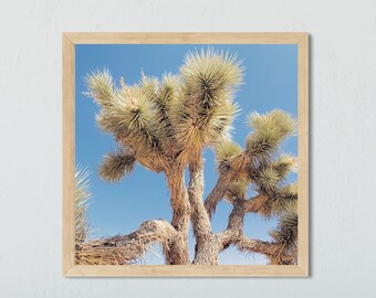 Joshua Tree Print, Designer Wall Art, Mojave Desert, Square Poster, Boho Decor, Wall Decore