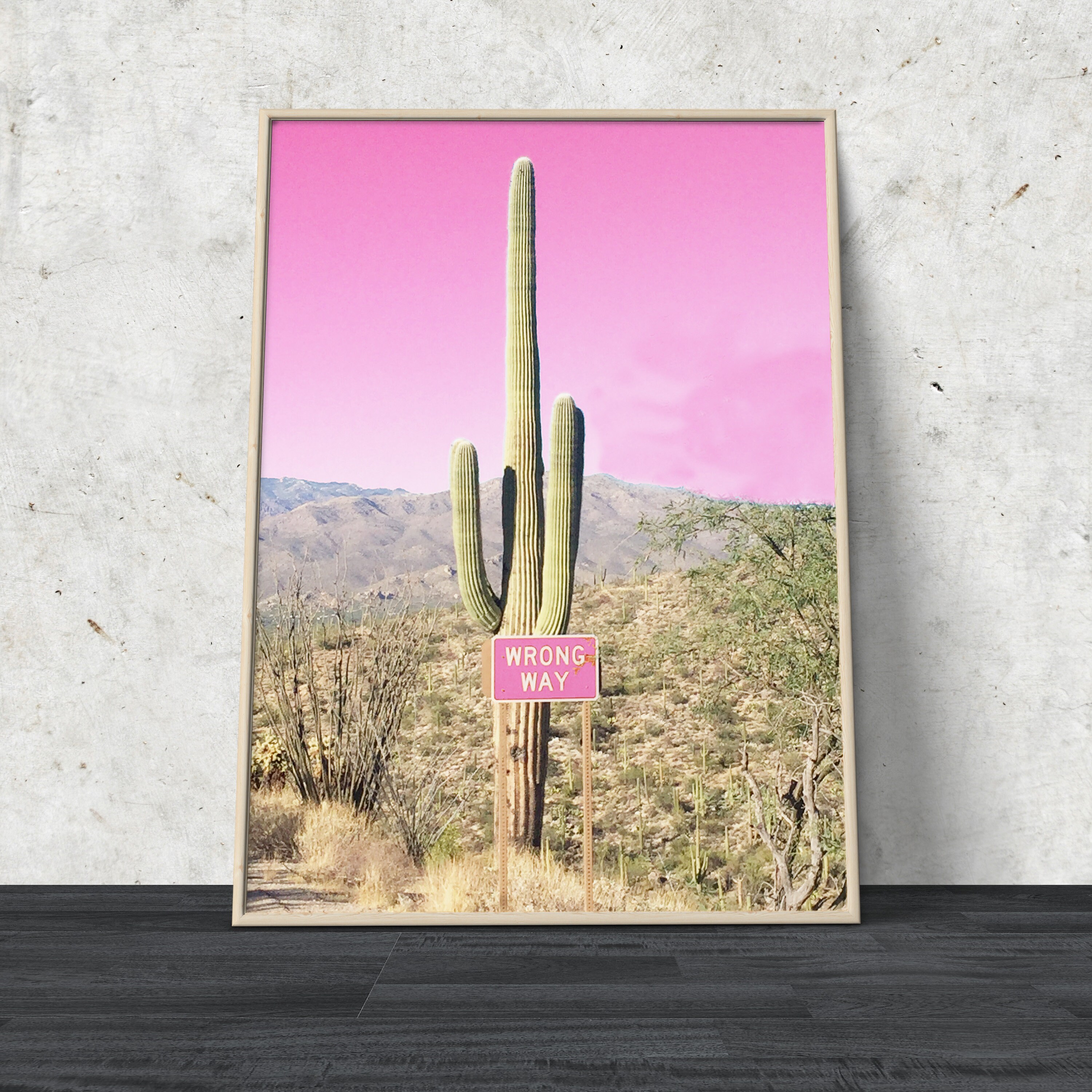 Pink Cactus Wall Art Desert Photography Cactus Prints Etsy